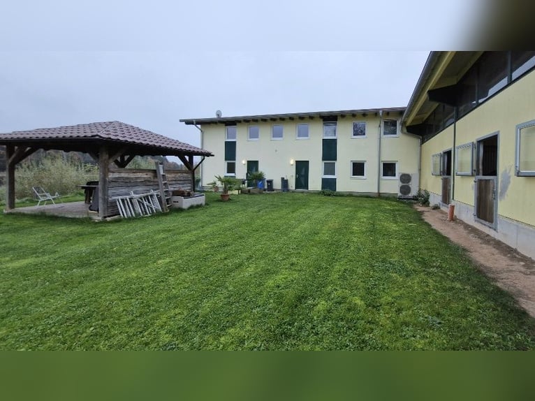 Equestrian facility by the lake