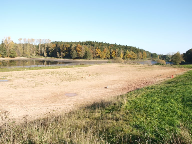 Equestrian facility by the lake