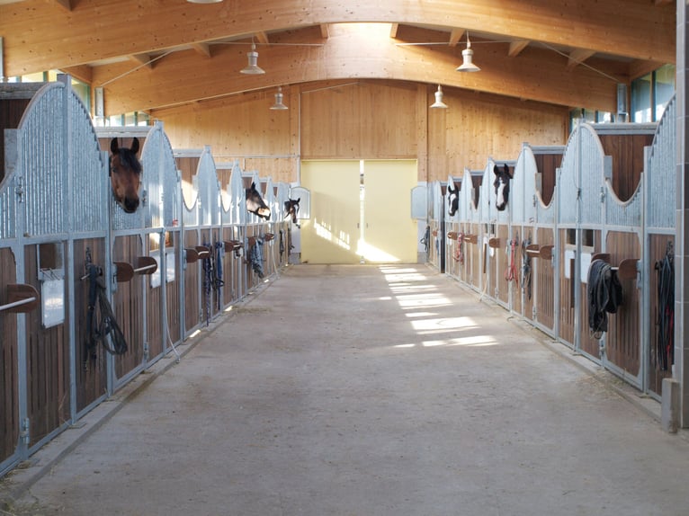 Equestrian facility by the lake