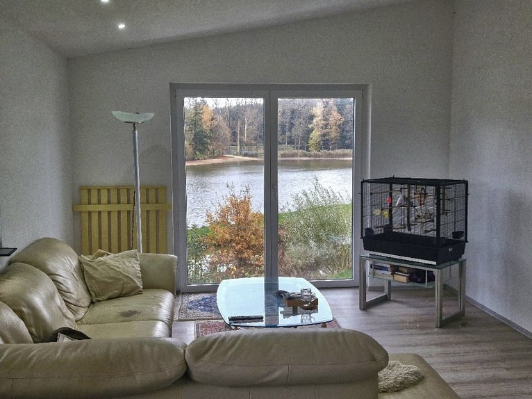 Equestrian facility by the lake