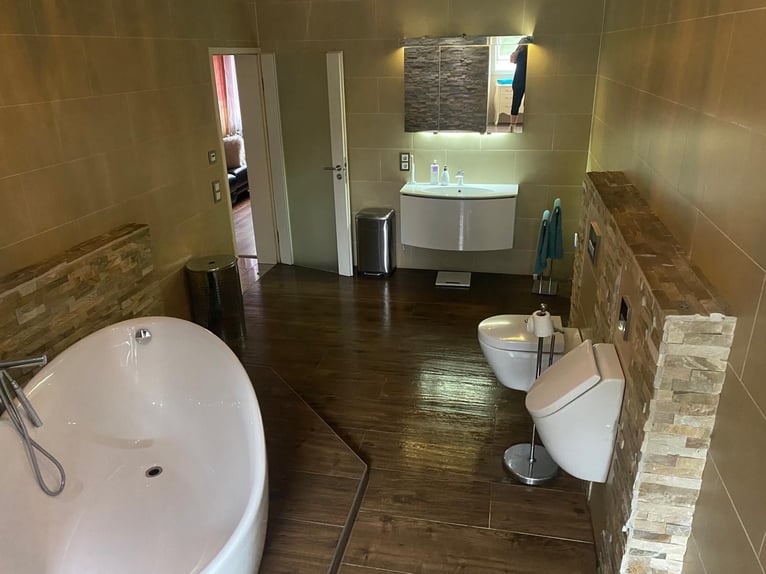 Equestrian facility for breeding, sport, and rehabilitation