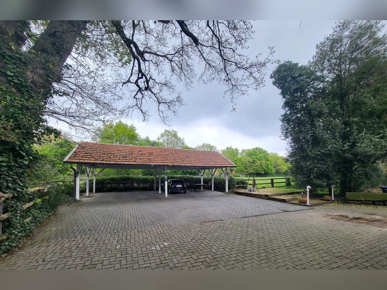 Equestrian facility for breeding, sport, and rehabilitation