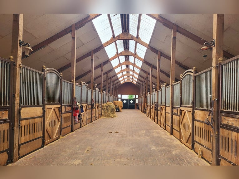 Equestrian facility for breeding, sport, and rehabilitation
