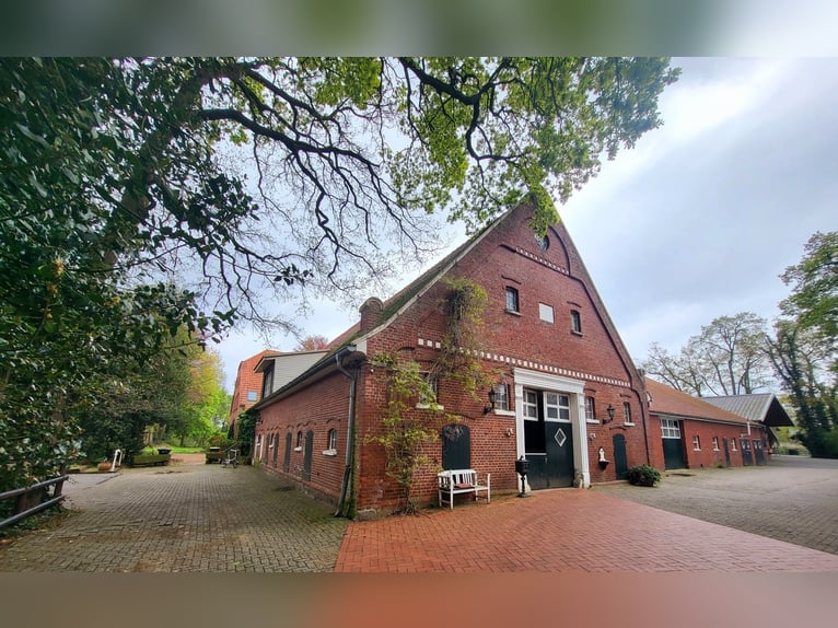 Equestrian facility for breeding, sport, and rehabilitation