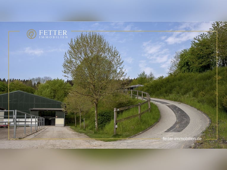 Equestrian facility for sale in a secluded location near St. Wendel – nearly 15 hectares of land own