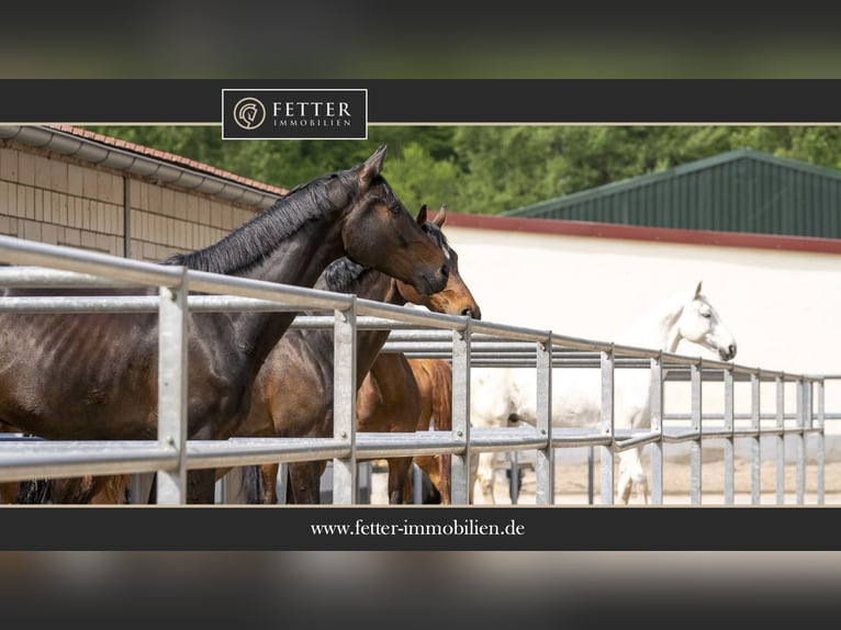 Equestrian facility for sale in a secluded location near St. Wendel – nearly 37 acres of land owned!