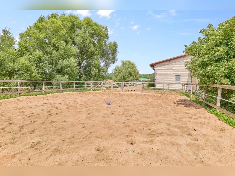 Equestrian Facility for Sale in Bavaria – Featuring Premium Living Comfort & Extensive Training Faci