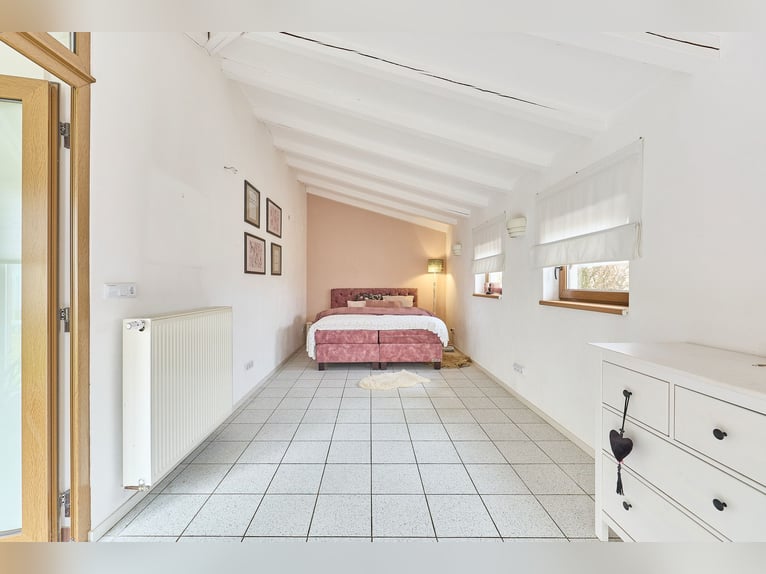 Equestrian facility for sale in Saarland near St. Wendel, located in a picturesque, secluded setting