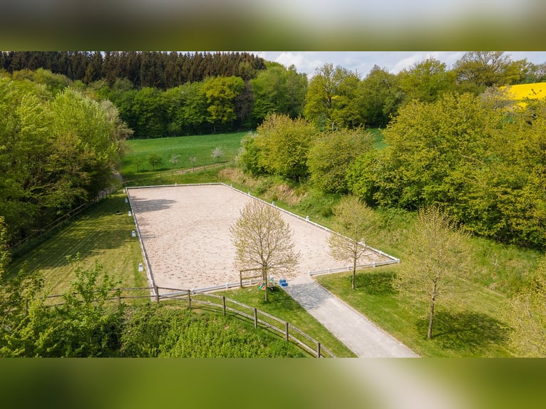 Equestrian facility for sale in Saarland near St. Wendel, located in a picturesque, secluded setting