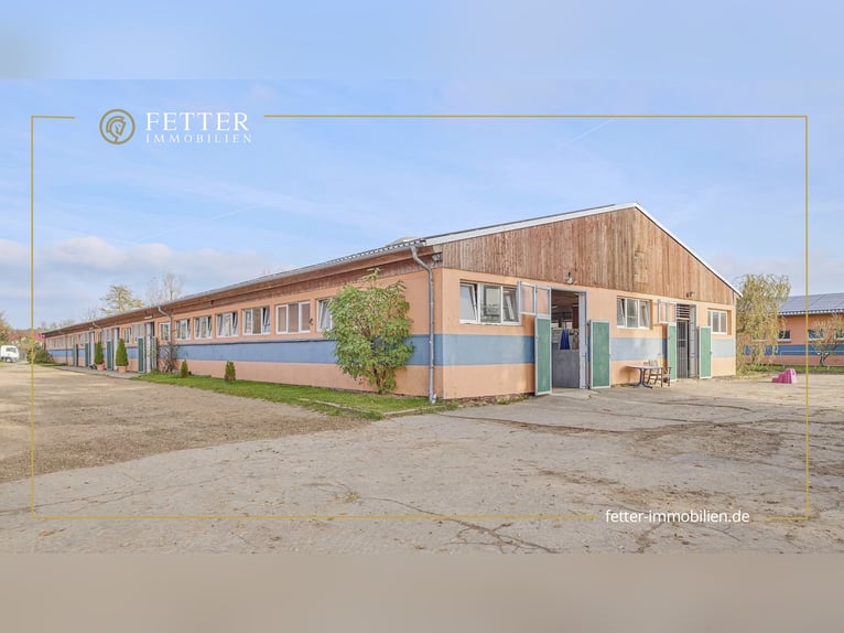 Equestrian facility for sale near Berlin – Capacity for nearly 100 horses in Havelland district