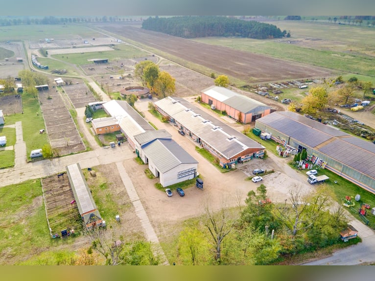 Equestrian facility for sale near Berlin – Capacity for nearly 100 horses in the Havelland district