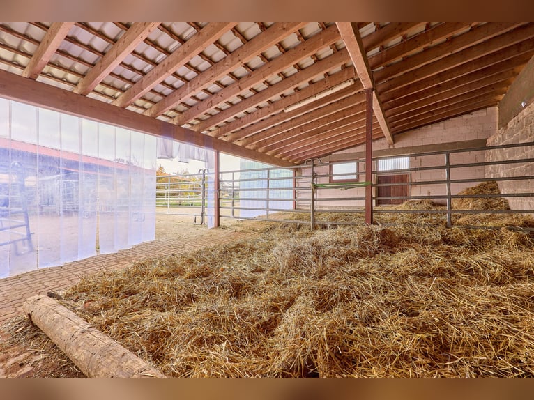 Equestrian facility in a secluded location in the Main-Kinzig-Kreis for sale – featuring a large cou