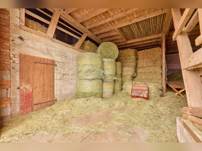 Equestrian facility in a secluded location in the Main-Kinzig-Kreis for sale – featuring a large cou