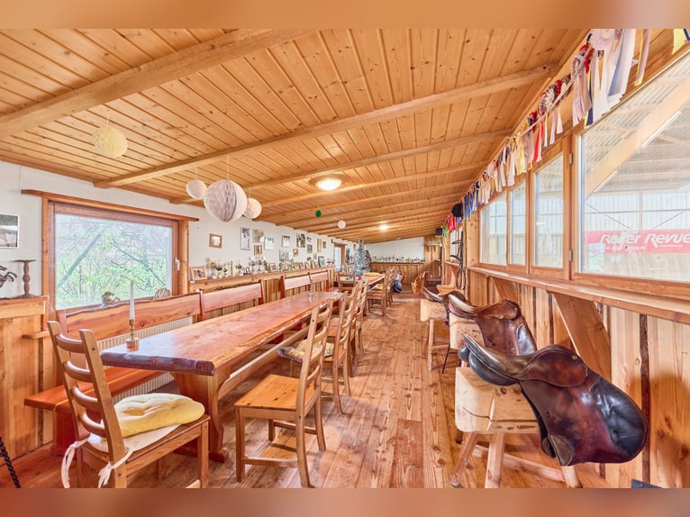 Equestrian facility in a secluded location in the Main-Kinzig-Kreis for sale – featuring a large cou