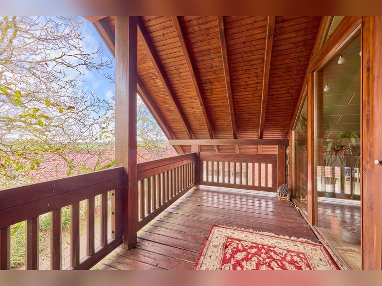 Equestrian facility in a secluded location in the Main-Kinzig-Kreis for sale – featuring a large cou