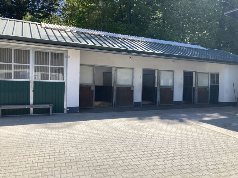 Equestrian facility in a stunning secluded location northeast of Munich