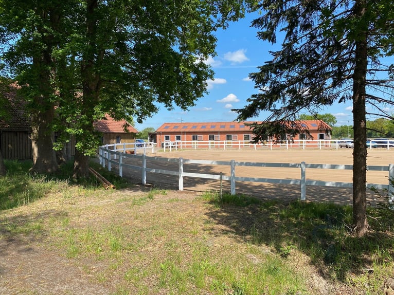 Equestrian facility in an idyllic location in Ammerland