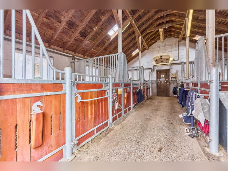 Equestrian facility in Hesse, Main-Kinzig-Kreis – secluded estate with riding hall, residential hous