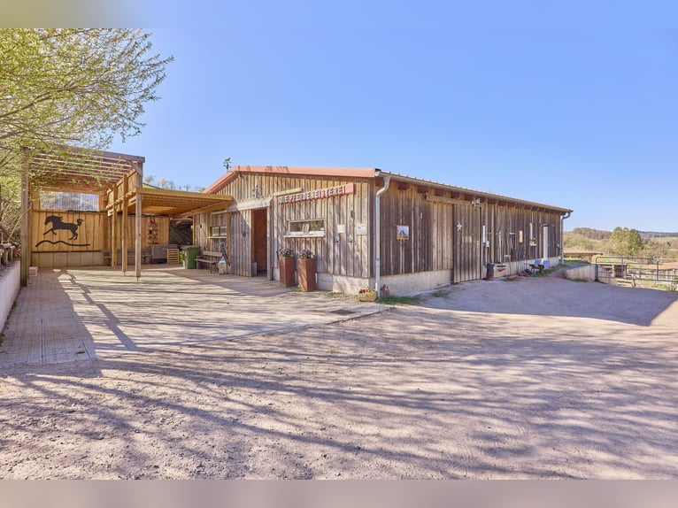 Equestrian facility in Rhineland-Palatinate – located in the Donnersbergkreis with a turnout stable 