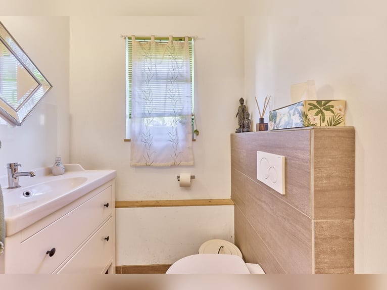 Equestrian facility in Rhineland-Palatinate – located in the Donnersbergkreis with a turnout stable 