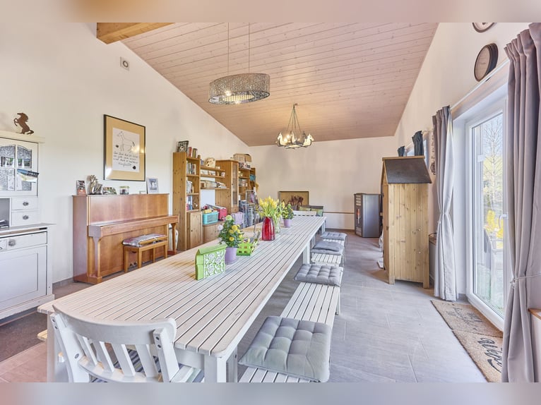 Equestrian facility in Rhineland-Palatinate – located in the Donnersbergkreis with a turnout stable 