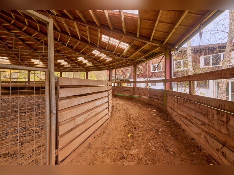 Equestrian facility in the Black Forest on a leasehold property featuring two residential units!