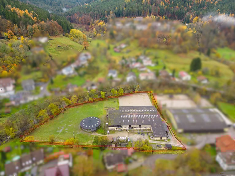 Equestrian facility in the Black Forest on a leasehold property featuring two residential units!