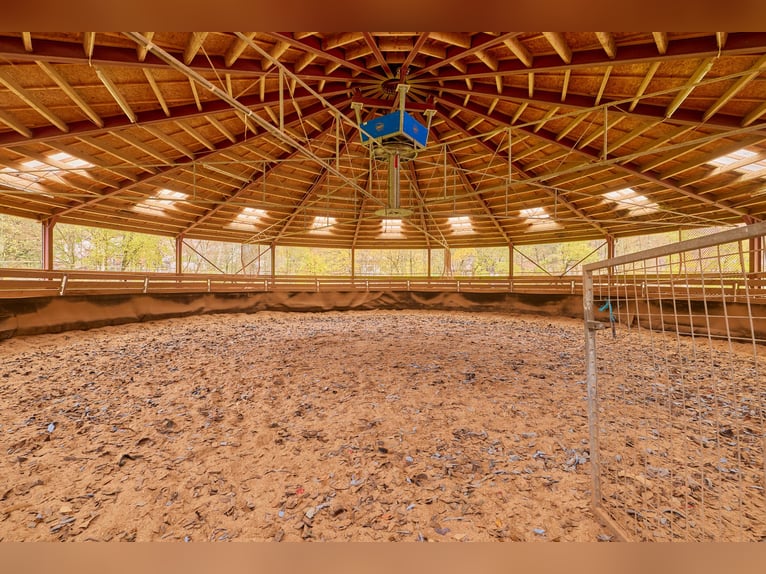 Equestrian facility in the Black Forest on a leasehold property featuring two residential units!