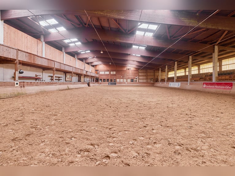 Equestrian facility in the Black Forest on a leasehold property featuring two residential units!