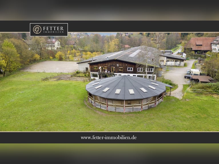 Equestrian facility in the Black Forest on a leasehold property featuring two residential units!