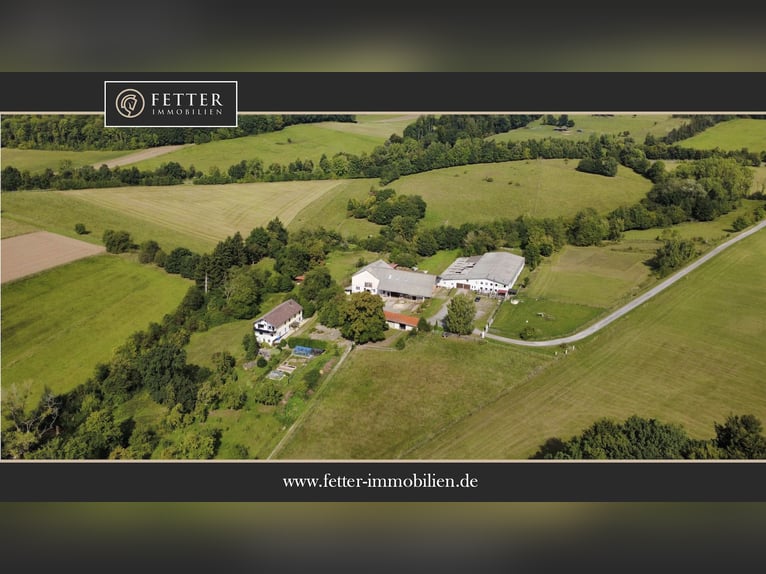 Equestrian facility in the Harz region near Bad Sachsa – Large standalone farm with an indoor riding