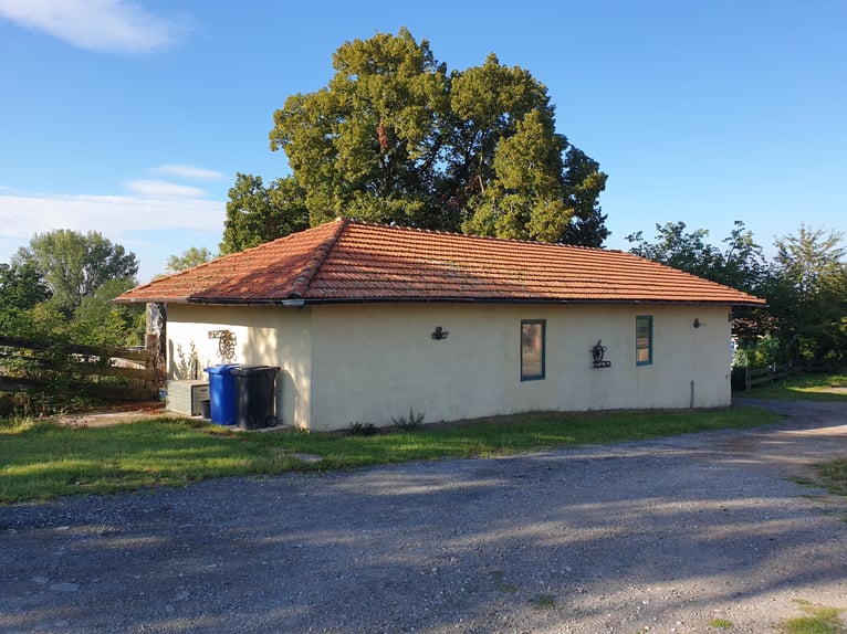 Equestrian facility in the Harz region near Bad Sachsa – Large standalone farm with an indoor riding