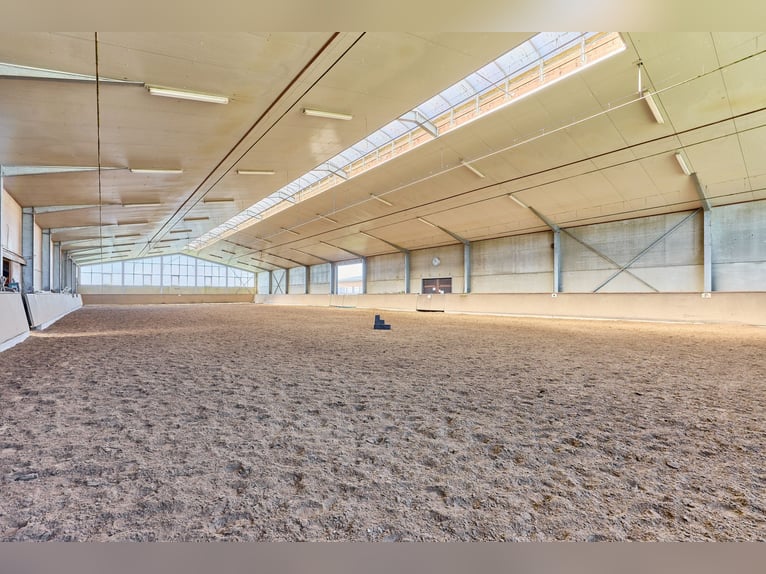 Equestrian facility near Koblenz for sale – located within the special development area "Living with