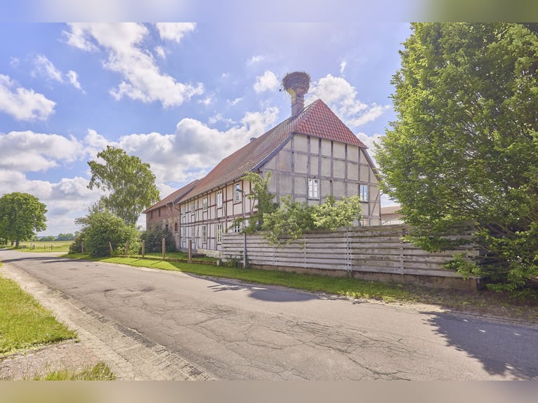 Equestrian facility near Wolfsburg with space for approximately 18 horses for sale!