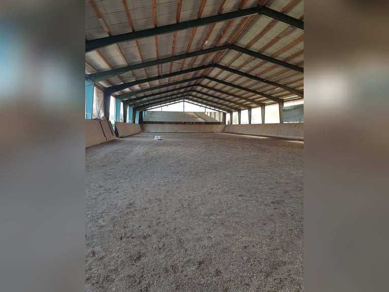 Equestrian facility with a 60-meter indoor arena near the Austrian border