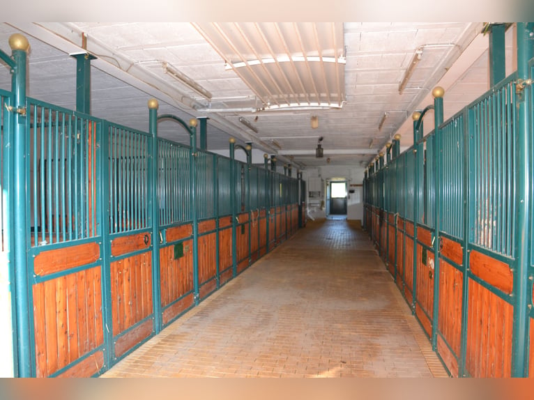 Equestrian facility with approximately 45 acres of private land, extensive riding arena, and multipl