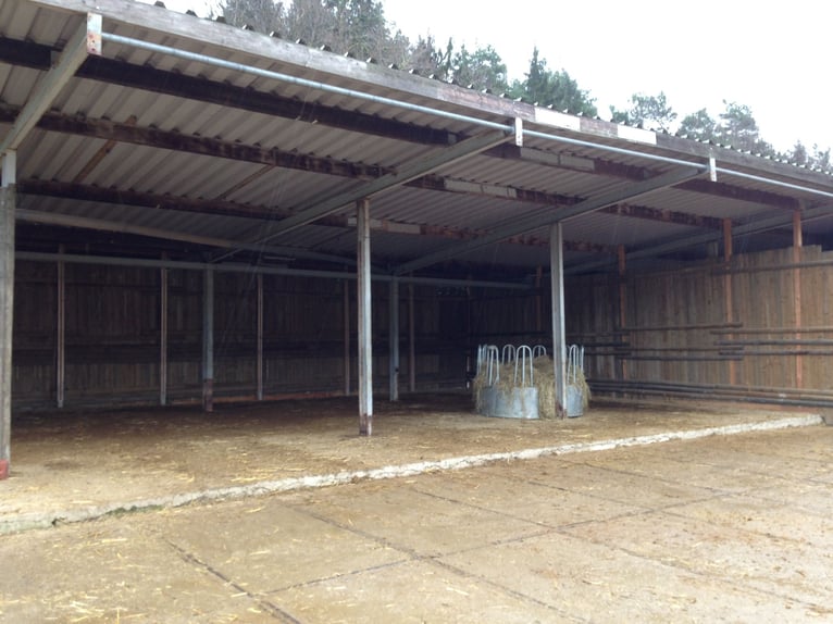 Equestrian facility with approximately 45 acres of private land, extensive riding arena, and multipl