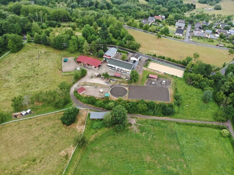 Equestrian facility with approximately 45 acres of private land, extensive riding arena, and multipl