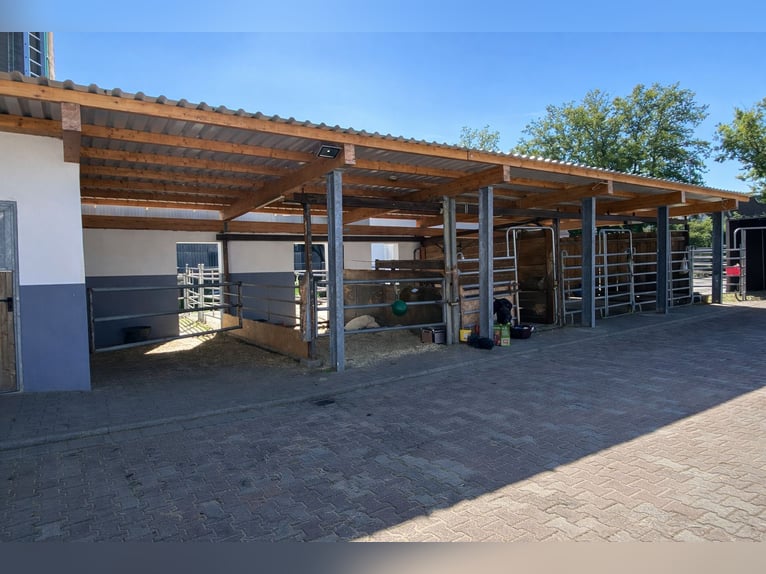 Equestrian facility with residential and commercial units in Hohenahr – a versatile property with mu