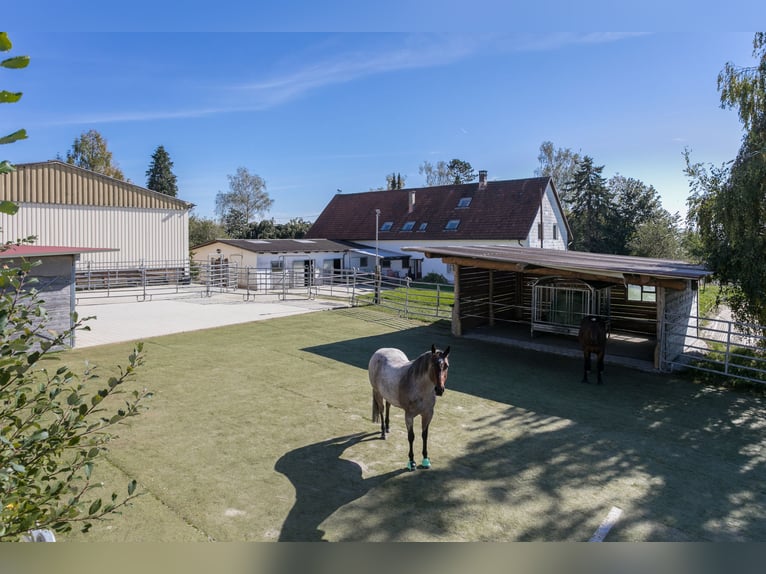 Equestrian facility with southern exposure
