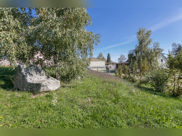 Equestrian facility with southern exposure