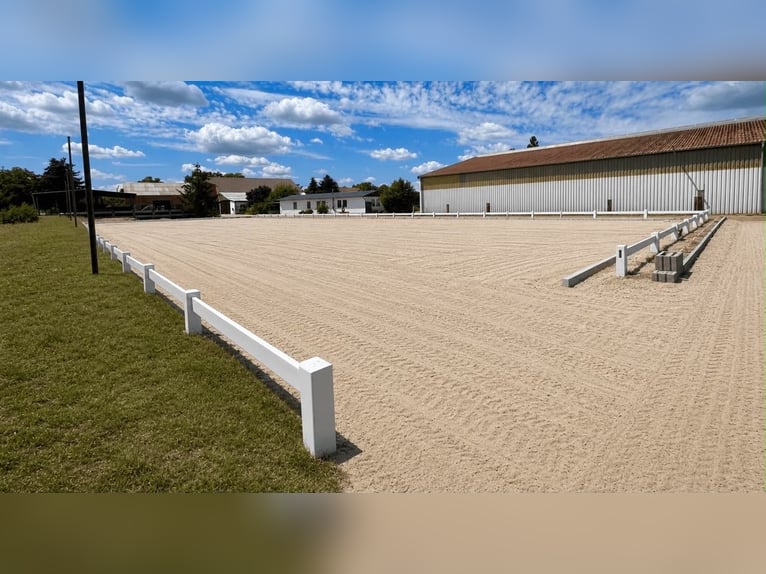 Equestrian facility with versatile development potential near Berlin