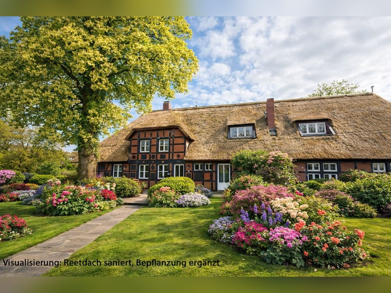 Equestrian farm and exclusive estate located 70 km southeast of Hamburg, with an optional 30 hectare