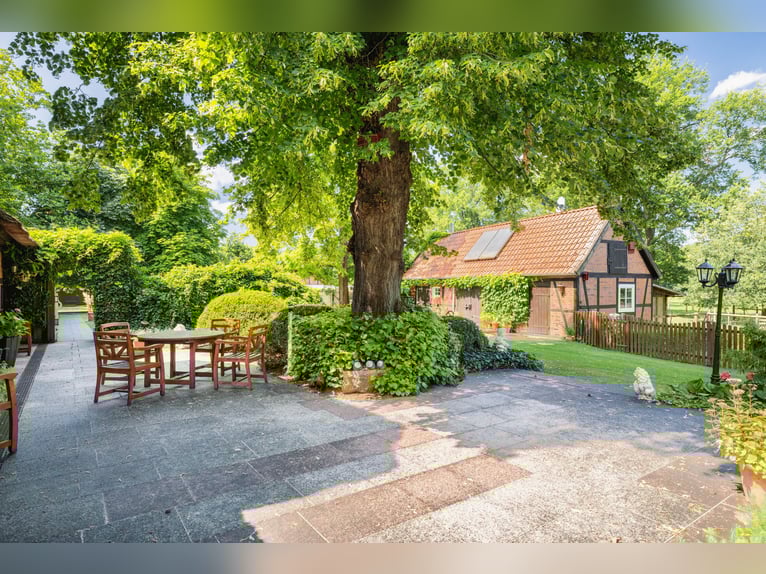 Equestrian farm and exclusive estate located 70 km southeast of Hamburg, with an optional 30 hectare