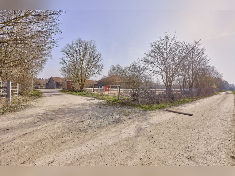 Equestrian farm for sale in the Kitzingen district featuring a modern residential building from 2019