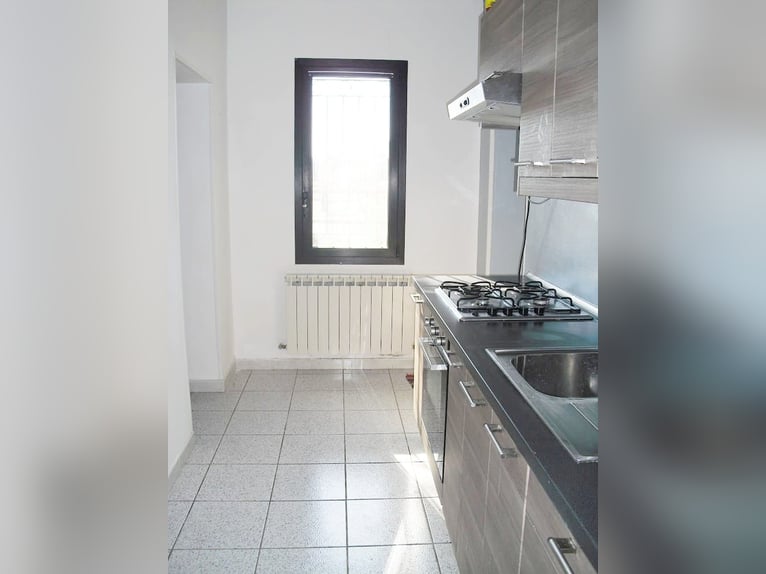 Equestrian property in Italy close to Po Delta Park and 30 minutes to the beach 