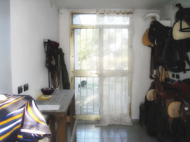 Equestrian property in Italy close to Po Delta Park and 30 minutes to the beach 