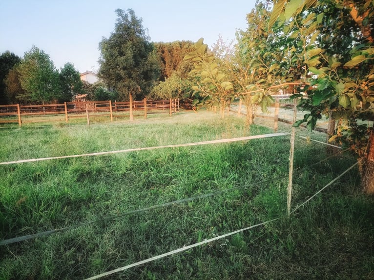Equestrian property in Italy close to Po Delta Park and 30 minutes to the beach 
