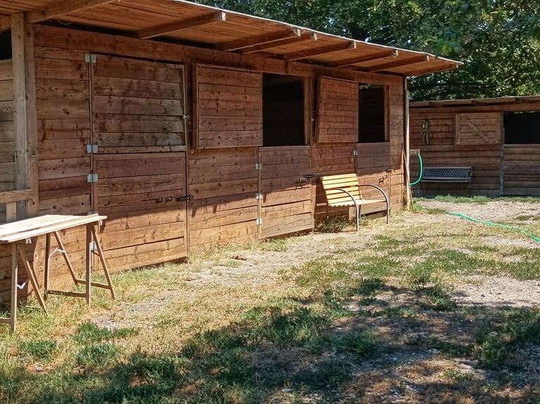 Equestrian property in Italy close to Po Delta Park and 30 minutes to the beach 