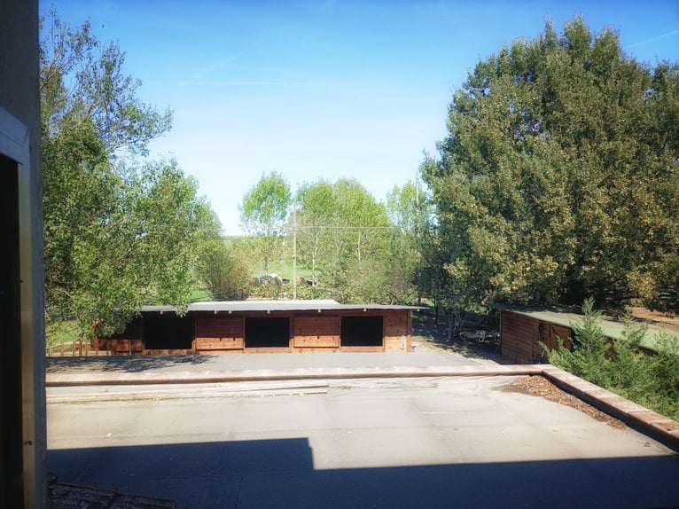 Equestrian property in Italy close to Po Delta Park and 30 minutes to the beach 